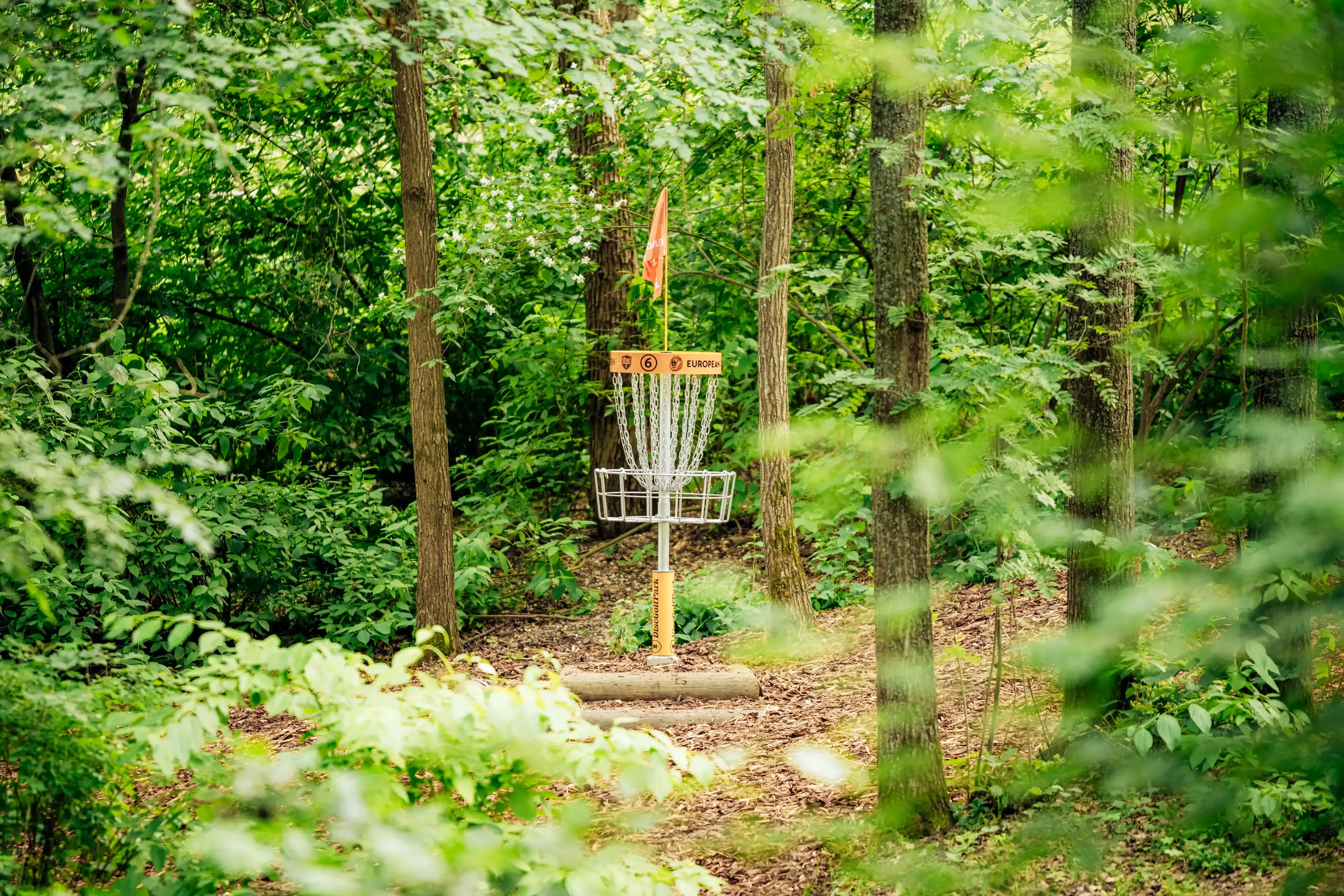 Professionel discgolfkurv