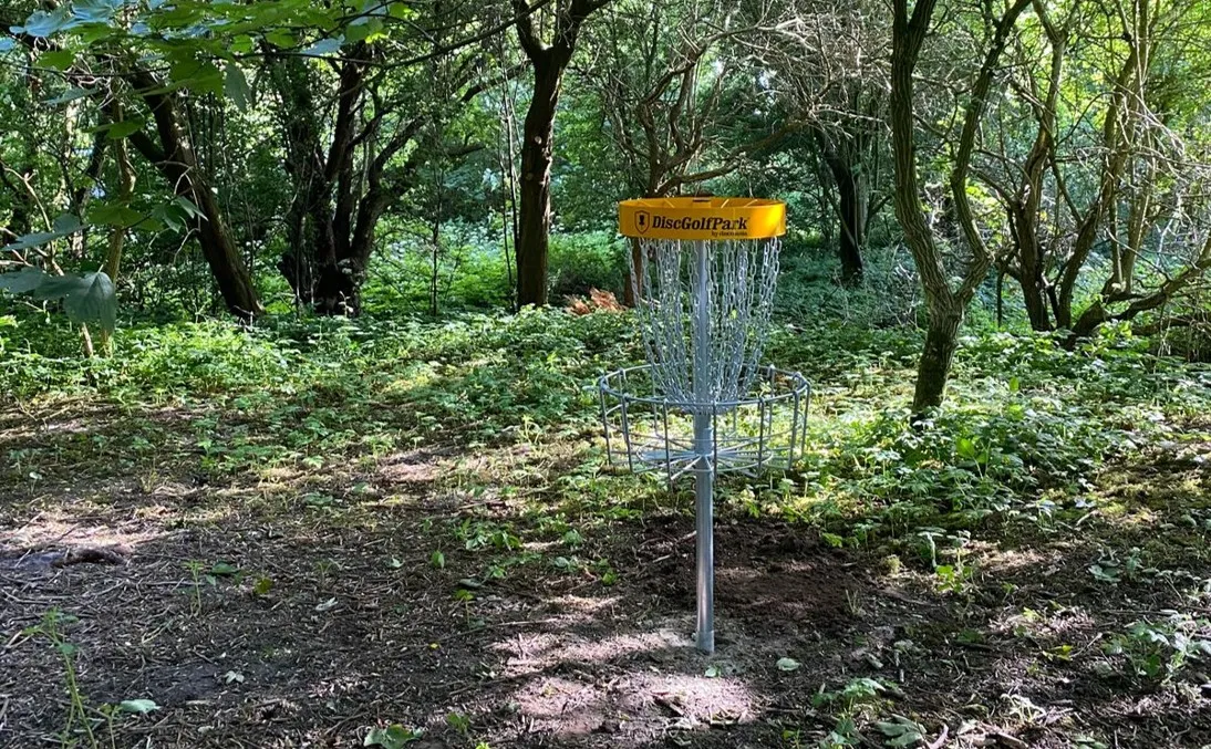 Discgolfkurv i lav bevoksning